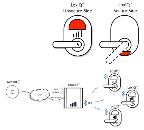 Multiple Levels Of Lockdown graphic